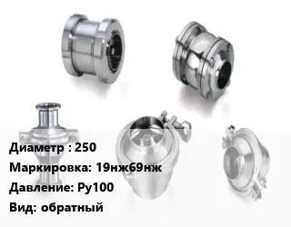 Клапан нержавеющий 250 19нж69нж Ру100 обратный